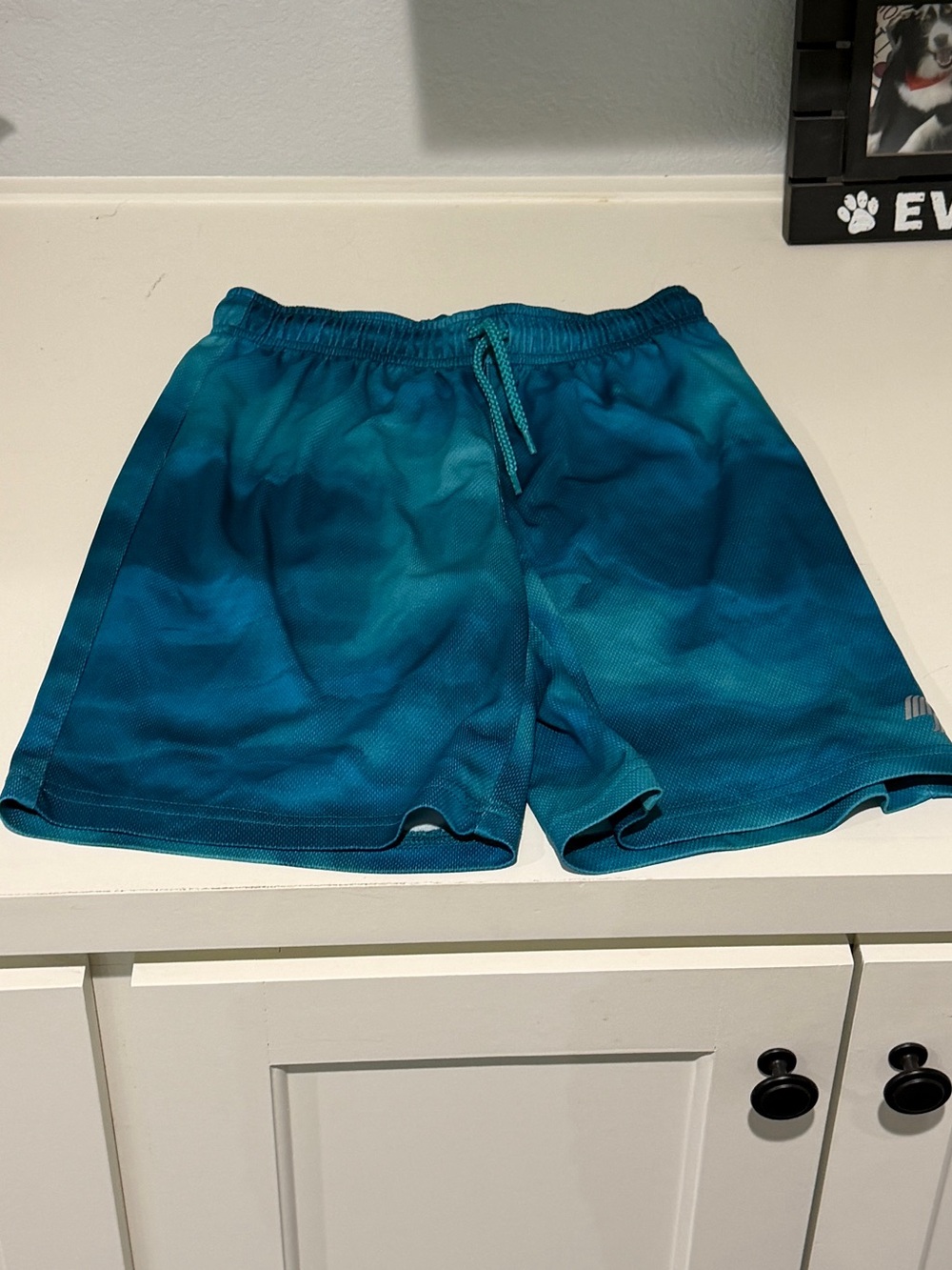 Boys Teal Shorts
